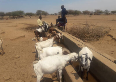 Viehtränke für die Massai